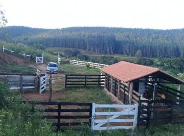 imovel_20286_203184.jpg · Imoveis - na Zona Rural