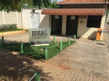 0 · Apartamento à venda no Parque Yolanda (Nova Veneza) em Sumaré/SP