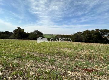 Rural · 49040m² · Chácara ampla à venda em ótima localização, OURO PRETO, TOLEDO - PR