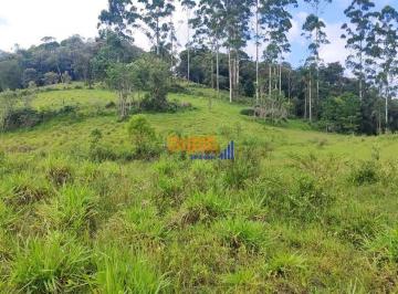 qdmqz482ogi1zjzmzmrly2iw_md · Sitio, terreno rural em Santo Amaro da Imperatriz Vargem do Braço 11 hectares.