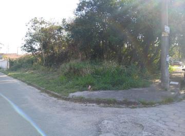 20250723164229455.jpeg · Terreno para Venda em Itanhaém, Califórnia