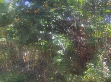 202507281014286232.jpg · Terreno para Venda em Itanhaém, Jardim Suarão