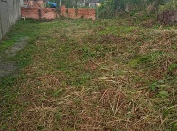 20230718041009422.jpg · Terreno para Venda em Itanhaém, Palmeiras