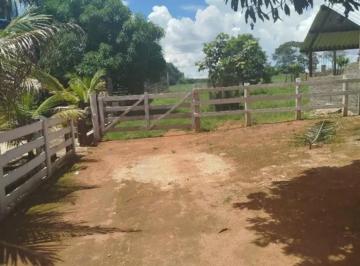 Foto 09 · Fazenda/Sítio com 6 alqueires entre Ituaçu e Itaberaí 7 km de chão em Itaberaí em Goiânia GO