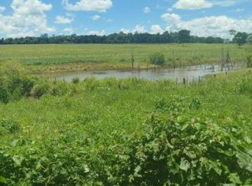 Foto 01 · Fazenda/Sítio com 6 alqueires entre Ituaçu e Itaberaí 7 km de chão em Itaberaí em Goiânia GO