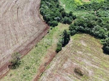 g7wugyy2ytiwmjvlngi0zwey_md · Chácara à Venda em Patrimonio Regina, Londrina - PR