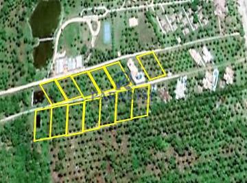Terreno · 1000m² · 1 Vaga · Terreno, Morro de São Paulo, Cairu - R$ 1.2 mi, Cod: 68865