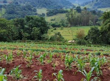 Rural · 9521m² · 3 Quartos · 2 Vagas · Chácara em Brazopolis