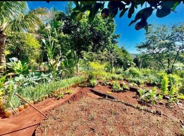 ryuk9gy2ytiwmjvmmtbimzdi_md · Chácara à Venda em Rural, Jataizinho - PR