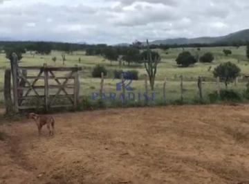 Rural · 4356000m² · 10 Vagas · Fazenda, Centro, Itaberaba - R$ 3.7 mi, Cod: 68616