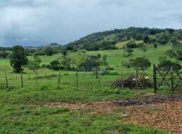 Rural · 800000m² · 10 Vagas · Fazenda São Sebastião do Passe - R$ 3 mi, Cod: 68595