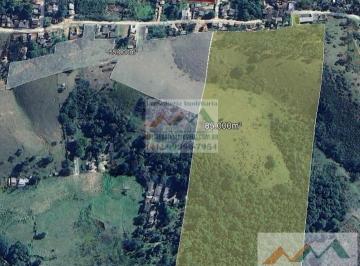 Rural · 55000m² · 55.000m², águas minerais, frutíferas