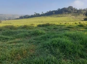 Foto 01 · Sítio venda. Empório Negócios vende sítio para pecuária e lavoura.