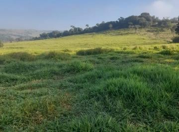 Foto 01 · Sítio venda. Empório Negócios vende sítio para pecuária e lavoura.