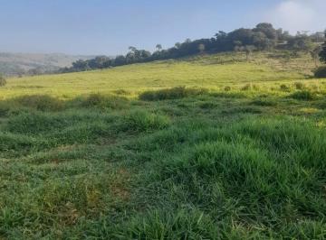 Foto 01 · Sítio venda. Empório Negócios vende sítio para pecuária e lavoura.