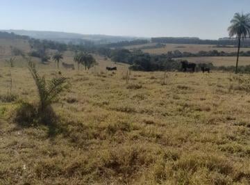 Foto 01 · Sítio venda. Empório Negócios vende sítio para pecuária e lavoura na região de Mococa.