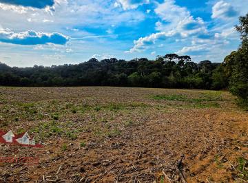 Rural , São José dos Pinhais · Chácara a Venda sem benfeitorias