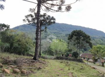 241196_i4P5533O_24119662c96f3aa8eea.jpg · Vendo Área Verde Nativa em Gramado - 149.100 m²