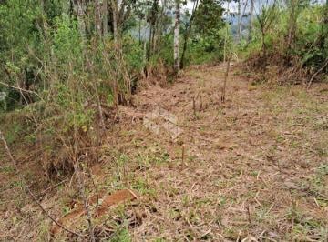 710218_i2qO3bUP5v24O3742_71021868beee9b9d84a.jpg · Terreno com 1.250m² em  São Pedro de Alcântara - SC