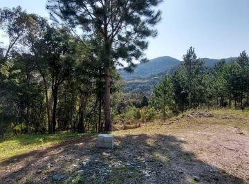 Rural · 28927m² · 1 Quarto · 4 Vagas · Chácara em Felpudo, Campo Largo/PR