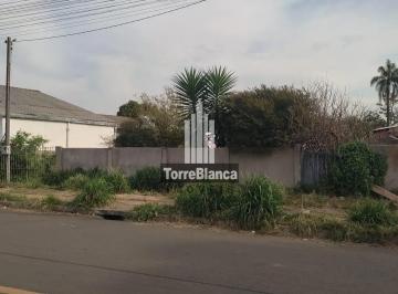 whatsapp-image-2025-09-08-at-3-46-11-pm1757448985170.jpeg · Terreno murado e plano à Venda, rua com asfalto, 495 m² no Jardim Paraíso