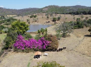 202509100921169000.jpg · Fazenda para Venda em Esmeraldas, Urucuia, 4 dormitórios, 3 banheiros, 3 vagas