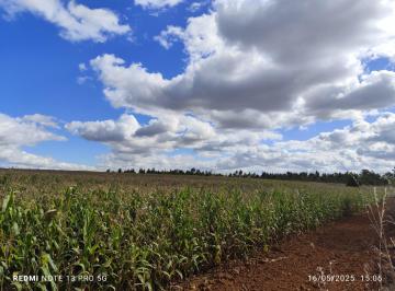 Rural , Santo Antônio do Descoberto · CHÁCARA PARCELADA À VENDA NA REGIÃO DE SANTO ÂNTONIO DO DESCOBERTO 20.000 M² 