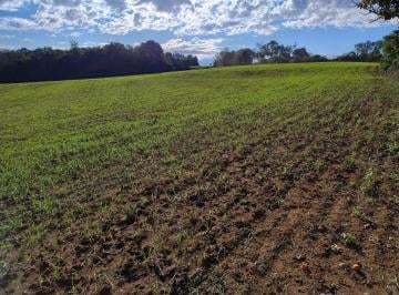 Foto 01 · Terreno - São Marcos