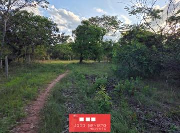 202509101606142869.jpg · Fazenda para Venda em Manga