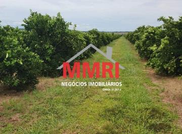 Foto 01 · Fazenda, Rural, Indiaporã, SP