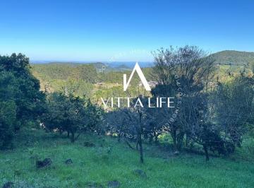 Terreno · 1630m² · Terreno à venda em Morro Reuter/RS