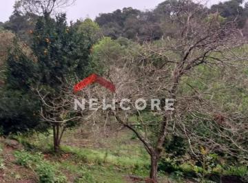 Rural · 100m² · 2 Quartos · 2 Vagas · Chácara em Rs020 José Velho - Jose Velho - São Francisco de Paula/RS