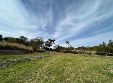 Terreno · 4320m² · Terreno à venda, 4320 m² por R$ 1.100.000,00 - Parque Alvamar - Sarandi/PR
