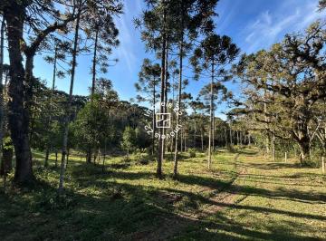 Foto 02 · Area, Avenquinha, Campo Alegre, SC