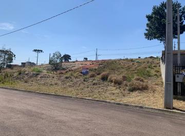 Terreno , Quatro Barras · Terreno - Ecopark – Quatro Barras