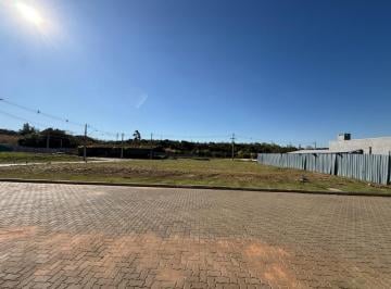 308799.jpg · Terreno / Lote / Condomínio - Bairro Vila Augusta