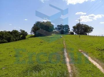 Foto 01 · SÍTIO À VENDA NA REGIÃO DE ITAPETININGA - SP
