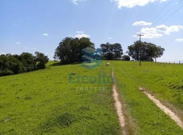 Foto 01 · SÍTIO À VENDA NA REGIÃO DE ITAPETININGA - SP