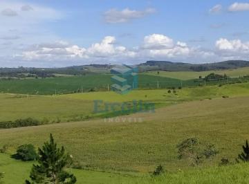 Foto 01 · ÁREA RURAL À VENDA NA REGIÃO DE ITAPETININGA - SP