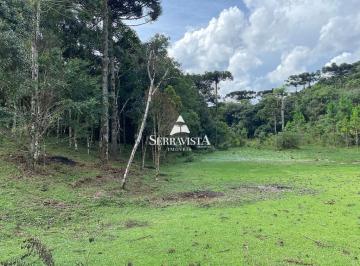 24701894_4.jpg · Terreno para chácara em Campo Alegre - 10.000 m2