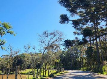Foto 01 · Terreno, Saltinho, Campo Alegre, SC