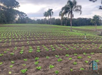 Foto 01 · Terreno LIMPO plano 21.000 mil m², a venda no Umbará em Curitiba - PR