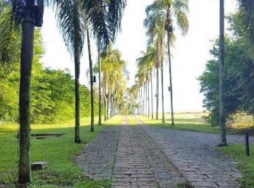 Terreno · Imoveis - no Jardim Martinelli (Sousas)