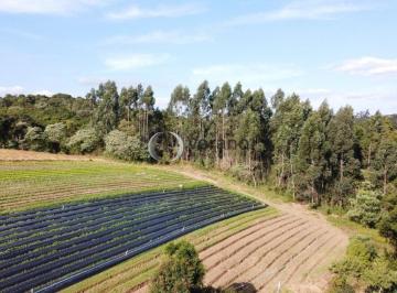 Rural · 212000m² · 
                                Sítio à Venda em Sarapui de Cima, Piedade/SP - 21,20 Hectares com M