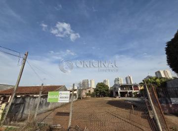 5539512090.jpg · TERRENO PARA LOCAÇÃO NO BAIRRO ORLEANS                                                              