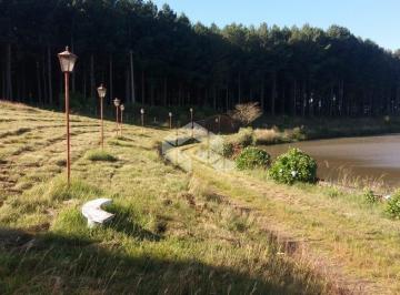 263276_i7t330zF_26327663c592507b004.jpg · Excelente sítio para lazer completo com 3 ha em Pedras Brancas na Cidade de São Marcos