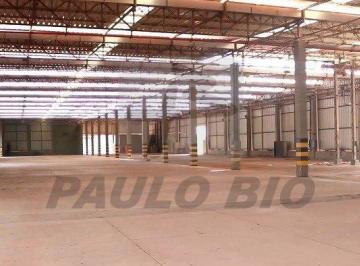 7855_iaO99X8WE_7855602c0f0273724.jpg · Comercial para aluguel - em Betel