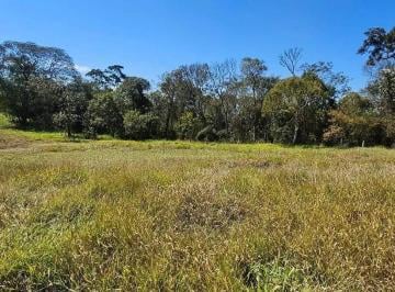 whatsapp-image-2025-09-12-at-10-37-571757684679352.jpeg · Terreno à Venda, 250M², Plano, Ao Lado do Santo Cruzeiro, Piracaia, SP