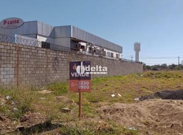 Terreno · 847m² · Terreno disponível para venda no bairro Novo Mundo em Uberlândia-MG.