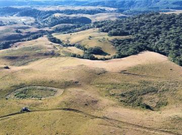 Rural · 260ha · Área única entre Canela e São Francisco de Paula!!